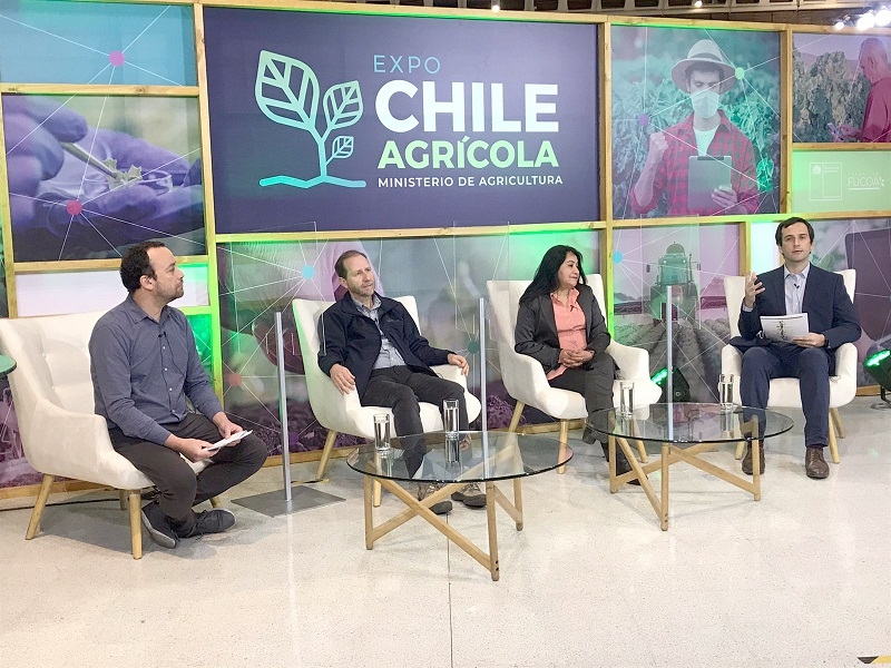 Conversatorio Online Analiz Aporte De Peque Os Agricultores Apoyados