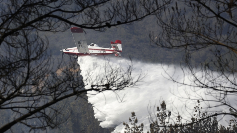 Autoridades En Alerta Por Incremento De Incendios Forestales En El Pa S