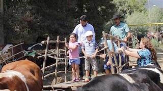 FIESTA DE LA CARRETA EN RABONES.-