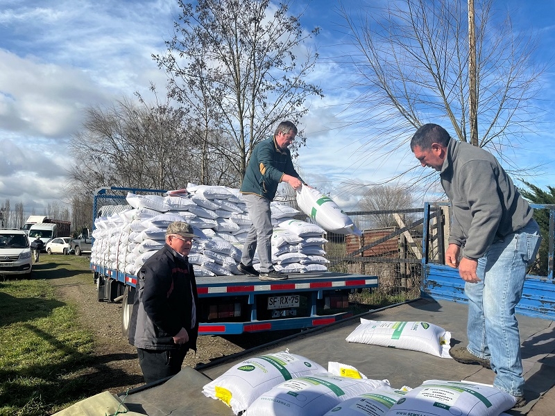 Más de 20 usuarios de la Oficina Agrícola Municipal de Longaví reciben semillas de trigo 