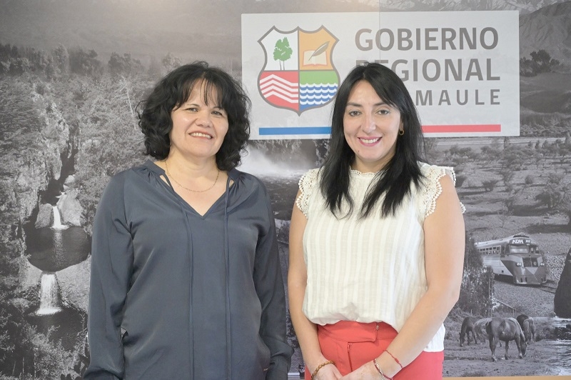 Seremi de Desarrollo Social sostiene reunión con Gobernadora Regional del Maule