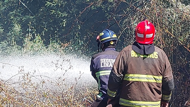 Linares: Bomberos controló fuego en pastizales de sector Ballica Norte