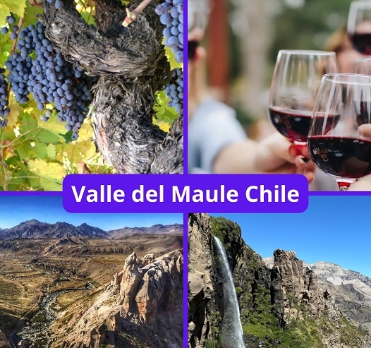 TURISMO AL DÍA Serra Gaúcha y Valle del Maule: Dos Regiones, Una Pasión por el Vino