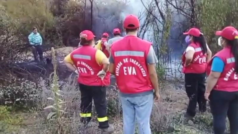 Linares: Incendios forestales complican a vecinos y piden más seguridad