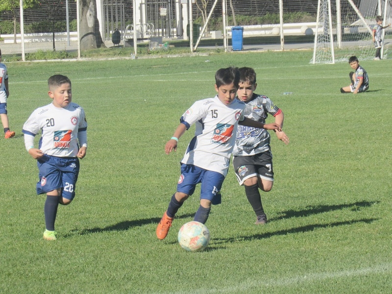 Positivo balance de la cuarta versión del Mundialito de Fútbol Infantil 