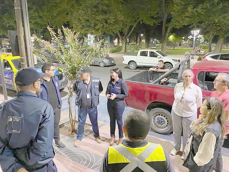 Linares: Delegación Presidencial Provincial fiscalizó locales nocturnos