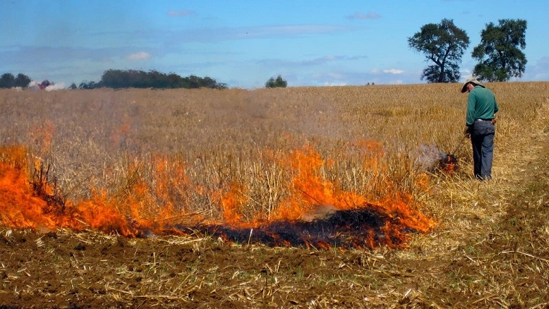 CONAF: 8 regiones del país están con restricciones para el uso del fuego