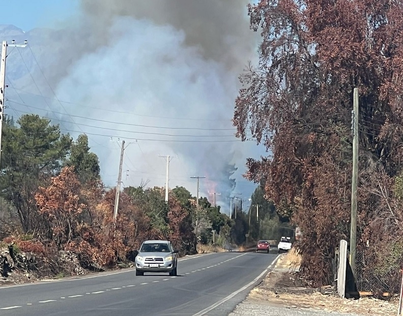 Linares: incendio de pastizales movilizó despliegue de emergencias en sector Llancanao