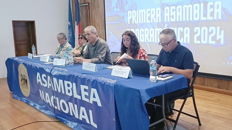 Colegio de Profesores realiza paro nacional este miércoles contra agresiones y acoso