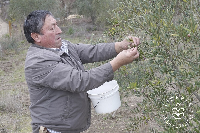 Agricultor familiar chileno Emilio Sepúlveda reconocido por el IICA como líder de la ruralidad de las Américas