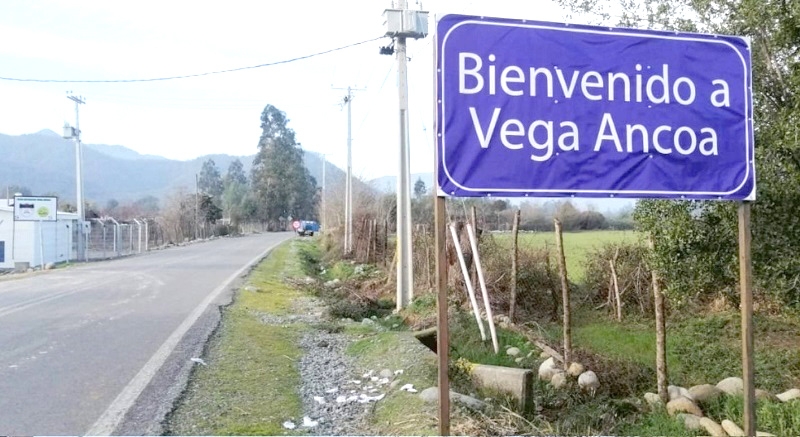 Vecinos de Cajón Ancoa reclaman por constantes cortes de energía eléctrica