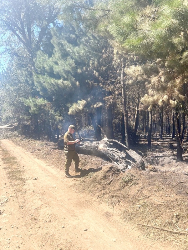 Labocar investiga las causas de incendio forestal en Parral