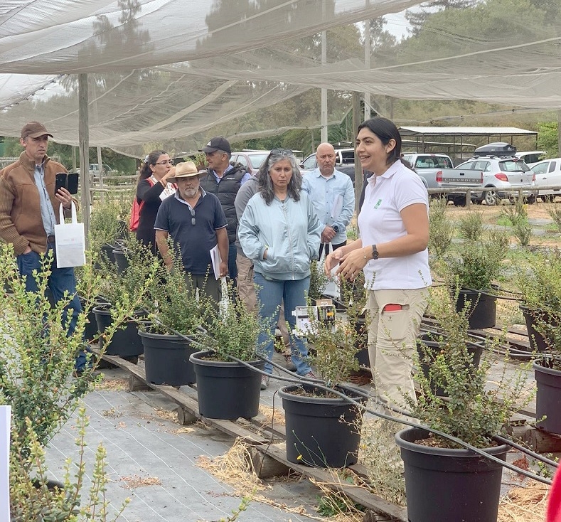 INIA Raihuén presenta nuevo boletín de berries durante exitoso Día de Campo