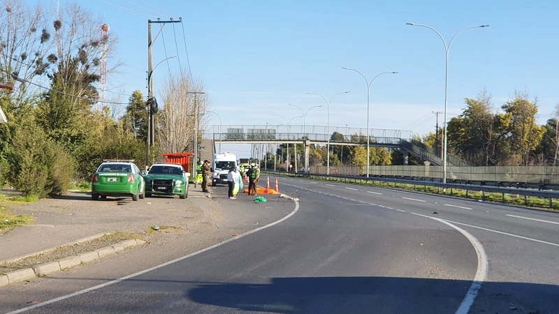 Linares: Muerte en atropello en enlace con Ruta 5 Sur