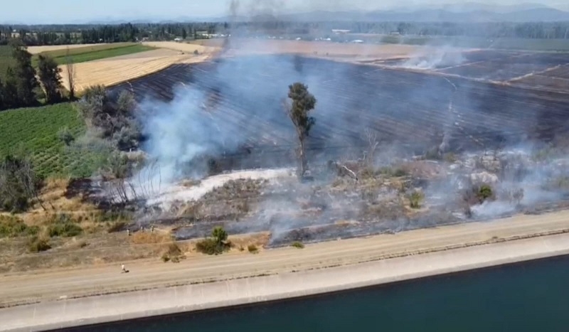 Llaman a la precaución tras incendios forestales en Yerbas Buenas y Longaví  