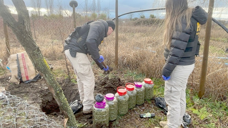 Investigación por microtráfico permitió incautar más de 20 kilos de cannabis enterrados en una parcela en Retiro