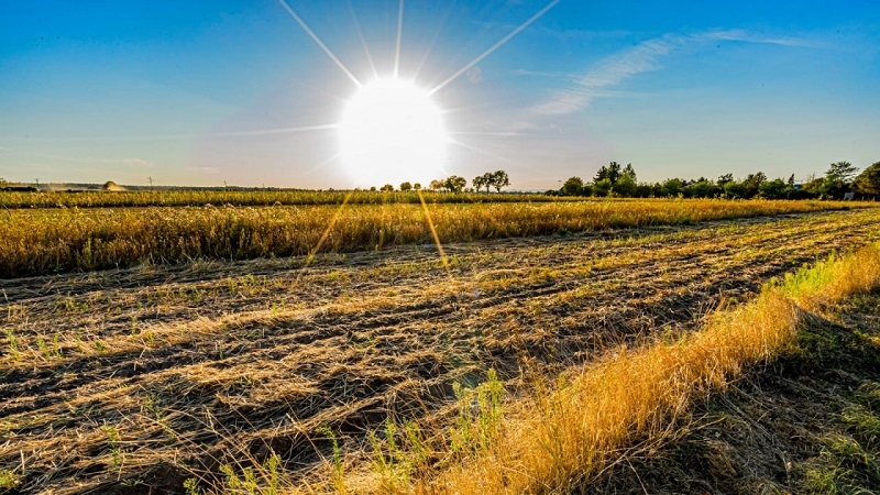  Dirección Meteorológica de Chile advierte de evento de altas temperaturas hasta el próximo martes.