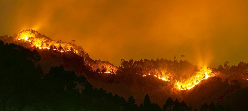 Recomendaciones sobre qué hacer y cómo prevenir los incendios forestales