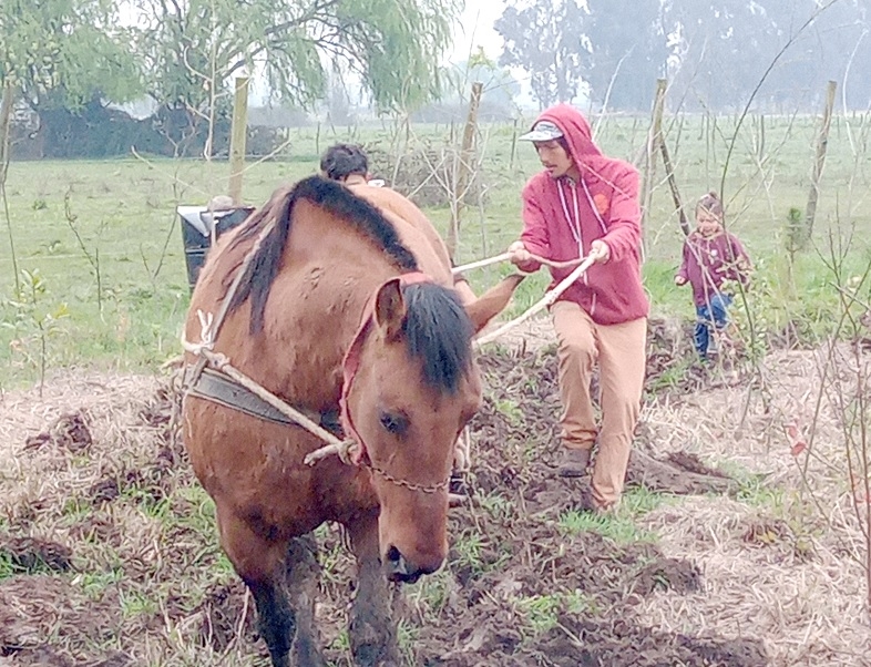 Colbún: Realizarán encuentro integral  de agricultura sintrópica