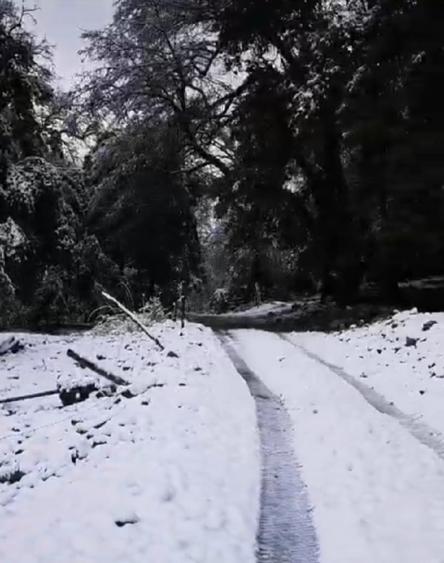 Linares: caída de nieve caracterizó paso de lluvias e intenso frío