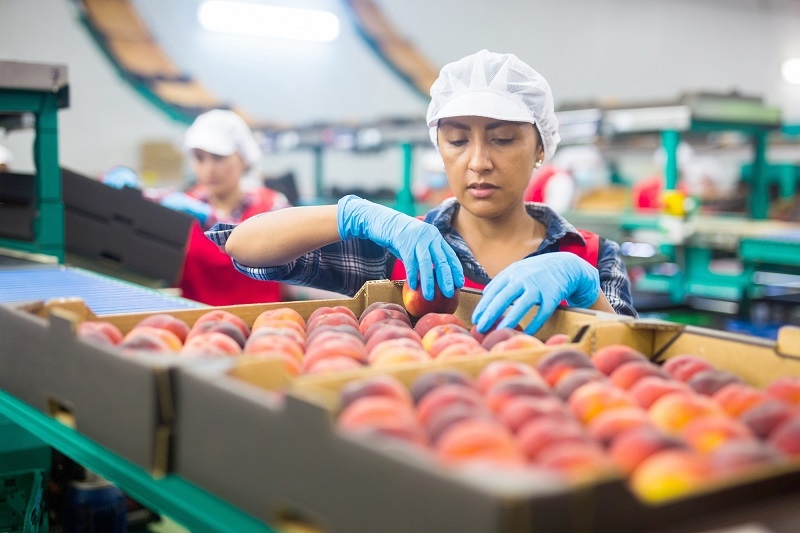 Cae la confianza del consumidor en el Maule