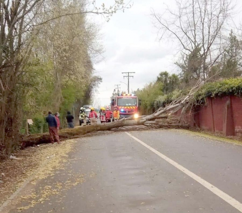 Longaví: Equipos de emergencia se desplegaron por el temporal