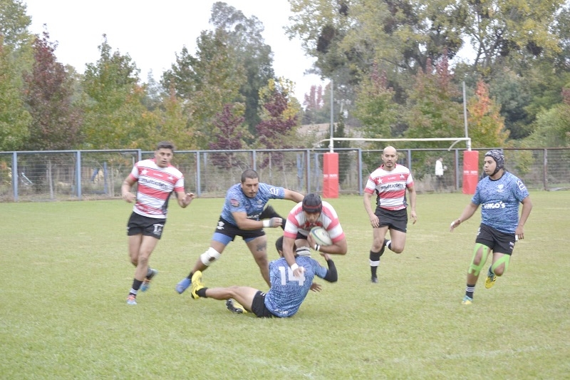 En el Rugby: Weichafe Linares enfrentará a Potros de Río Bueno por Torneo TIR Centro Sur 2024 