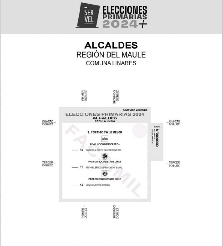  SERVEL da a conocer los votos para Elecciones Primarias de este domingo 9 de junio