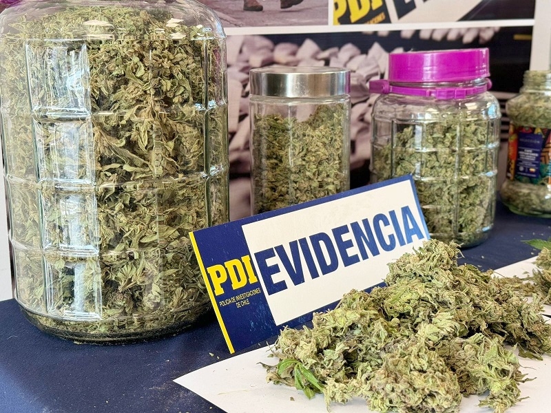 PDI detuvo en Parral y Linares a dos personas por infracción a la ley de drogas