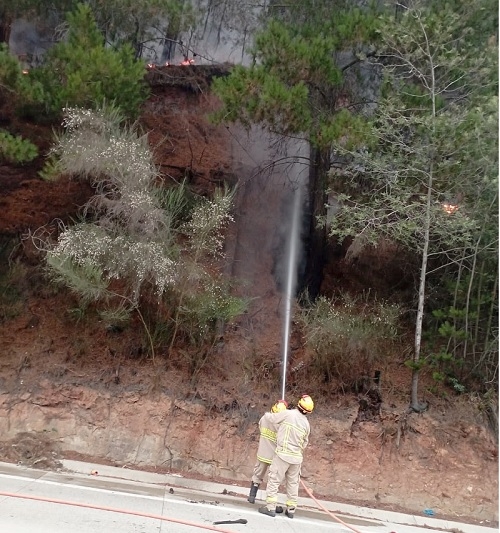 Alerta roja para las comunas de Pelluhue y Chanco por incendio forestal