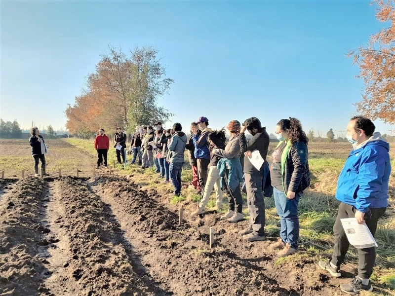 Faro Agroecológico de INIA Quilamapu destaca por labor formativa en agricultura sustentable