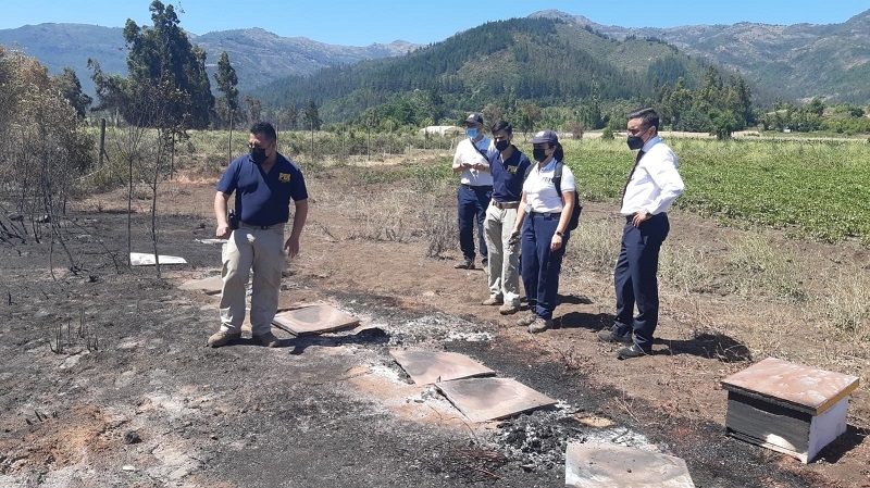 Linares: En libertad presunto autor de incendio en sector Huapi Bajo