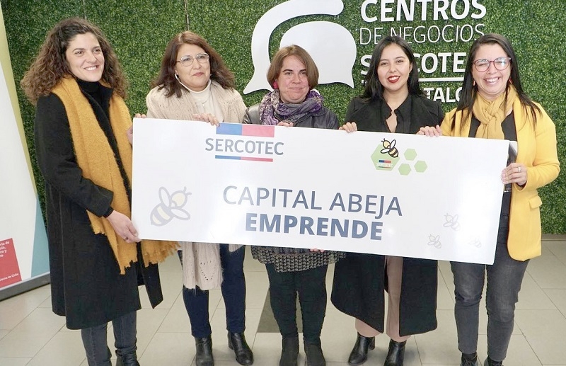 Parte la convocatoria de Capital Abeja para Emprendedoras