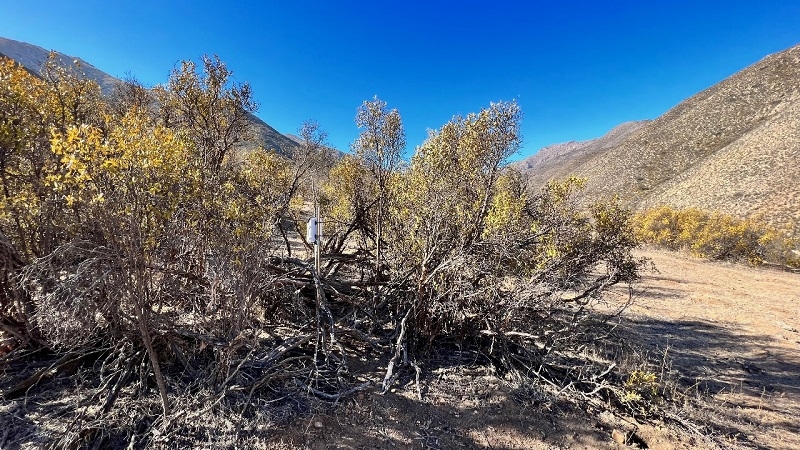 Estudio pionero de Data Observatory evaluó la humedad de los suelos de cuatro cuencas del país