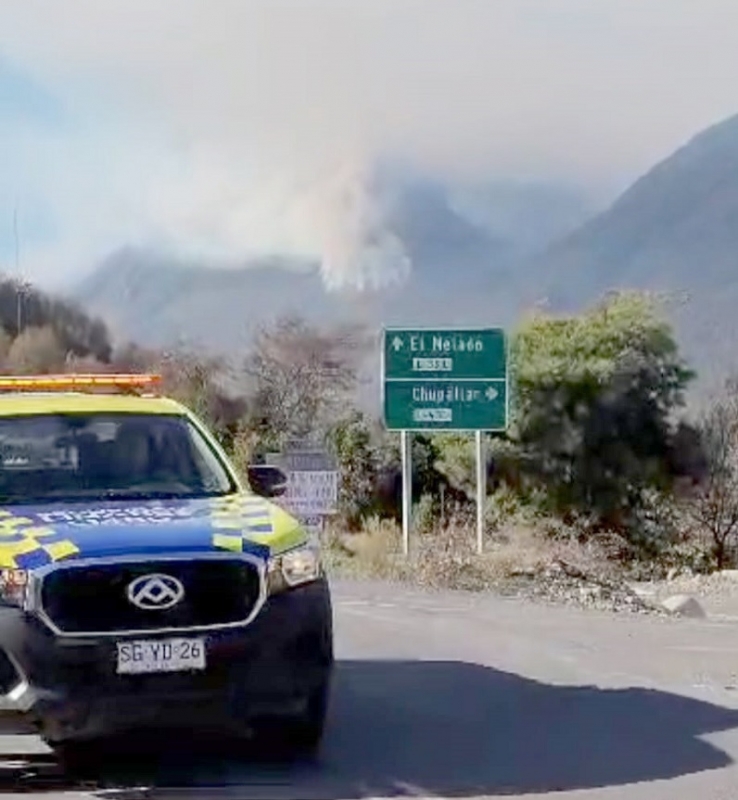 Linares: incendio forestal en desarrollo en sector Chupallar