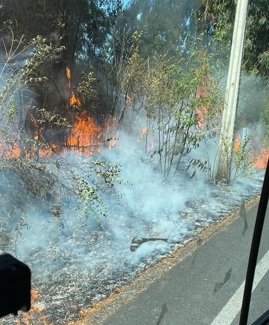  Yerbas Buenas: incendio de pastizales y parte de bosque movilizó a equipos de emergencias