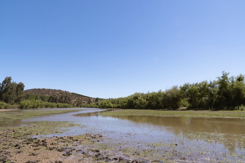 Humedales:  la barrera natural que protege nuestra agua  