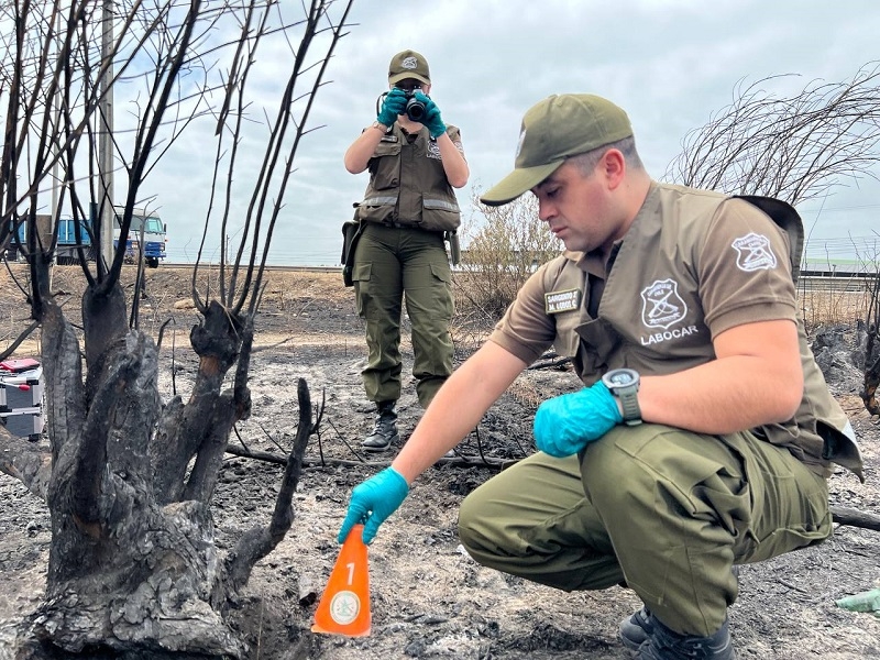 LABOCAR en el Maule ha investigado cuatro incendios forestales con dos detenidos