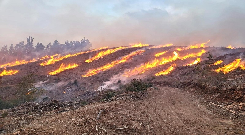 CONAF Maule y Seremi de Agricultura  informan restricción del uso del fuego en la región