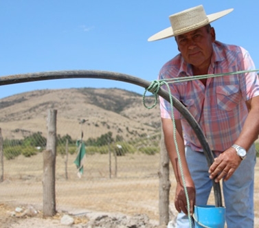 INDAP y Gobierno Regional abren concursos de riego para pequeños productores de la Región del Maule