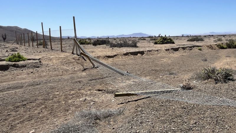 Por "restos de guanacos": SMA ordena medidas "urgentes" a proyecto Mina Los Colorados en Atacama