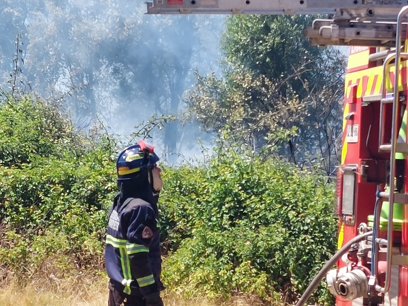 ONEMI actualiza situación de incendios forestales