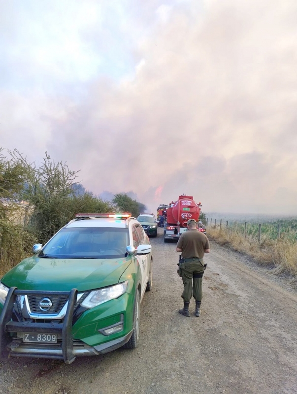 SENAPRED actualiza estado de 2 incendios forestales en el Maule.