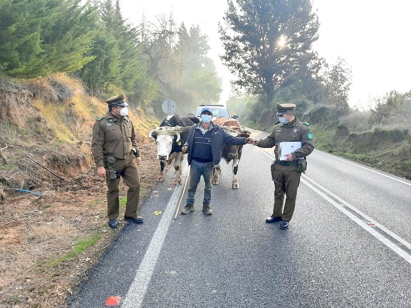 Carabineros del Retén Embalse Ancoa: 63 años entregando seguridad y resguardo policial en la precordillera