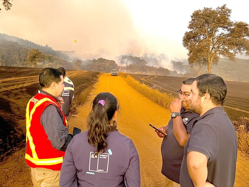 Parral:  incendio forestal al interior de Villa Baviera obligó a declarar alerta amarilla comunal