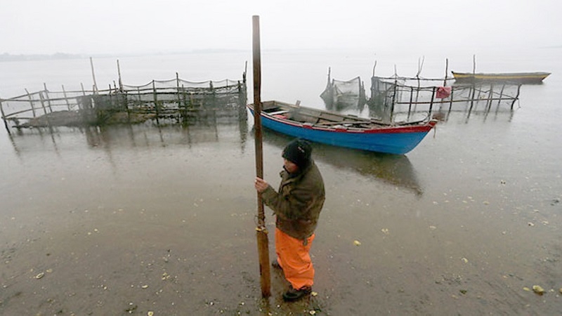 Subsecretario de Pesca: El copy-paste era un traje a la medida de la industria