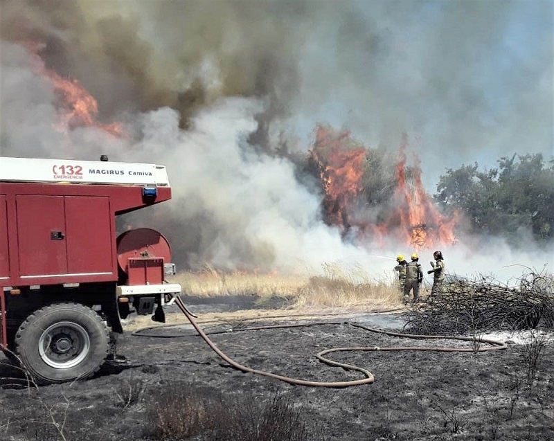 Linares: Se reactivó incendio en Salida Cuellar y Alcalde llama a entregar antecedentes