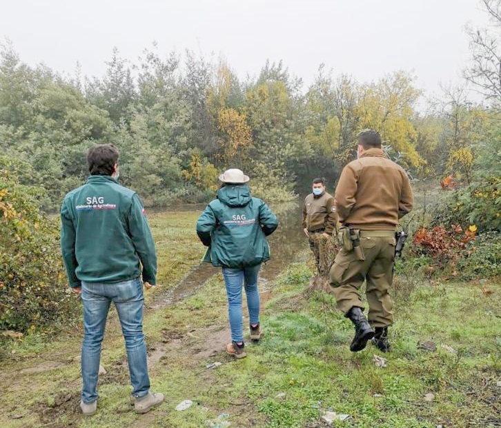 SAG y Carabineros fiscalizan cumplimiento a la Ley de Caza