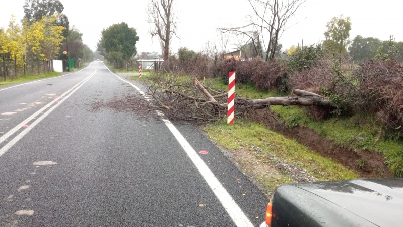 Disponen cierre de caminos cordilleranos en el Maule ante posibles complicaciones por las lluvias