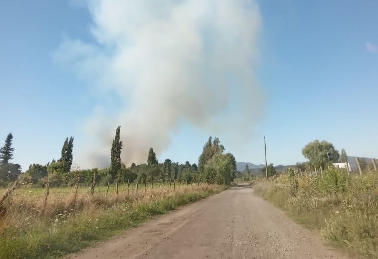 LONGAVÍ: DESPLIEGUE POR INCENDIO FORESTAL EN LA AMALIA